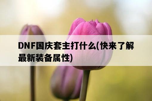 DNF國慶套主打什么，快來了解最新裝備屬性-圖1