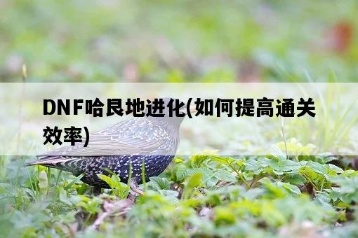 DNF哈艮地進化，如何提高通關效率-圖1
