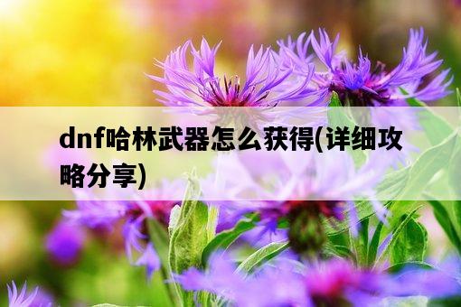 dnf哈林武器怎么獲得，詳細攻略分享-圖1