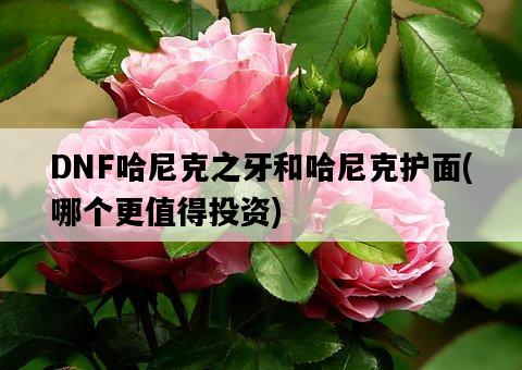 DNF哈尼克之牙和哈尼克護面，哪個更值得投資-圖1