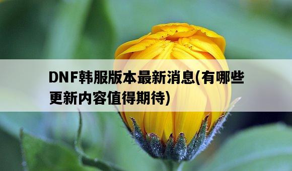 DNF韓服版本最新消息，有哪些更新內容值得期待-圖1