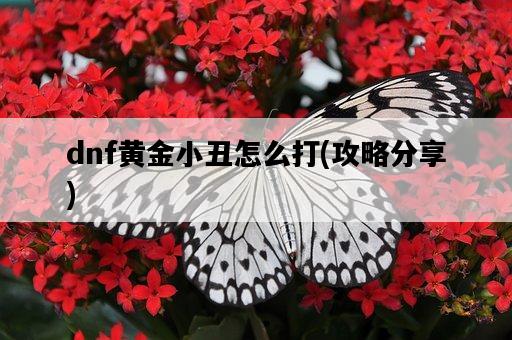 dnf黃金小丑怎么打，攻略分享-圖1