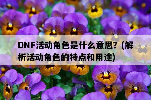 DNF活動角色是什么意思？，解析活動角色的特點和用途-圖1