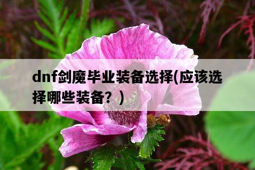 dnf劍魔畢業裝備選擇，應該選擇哪些裝備？-圖1