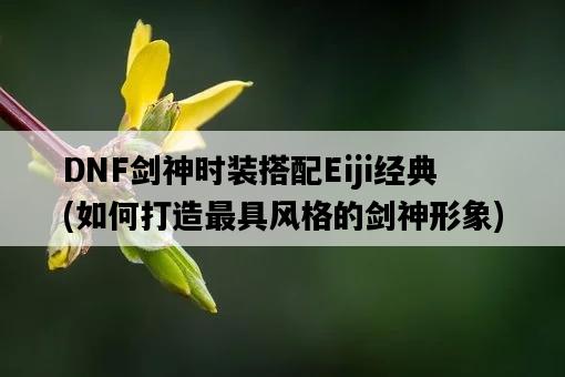 DNF劍神時裝搭配Eiji經典，如何打造最具風格的劍神形象-圖1