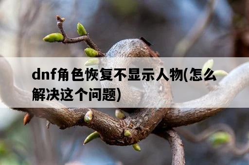 dnf角色恢復不顯示人物，怎么解決這個問題-圖1