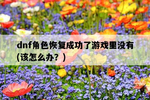dnf角色恢復成功了游戲里沒有，該怎么辦？-圖1