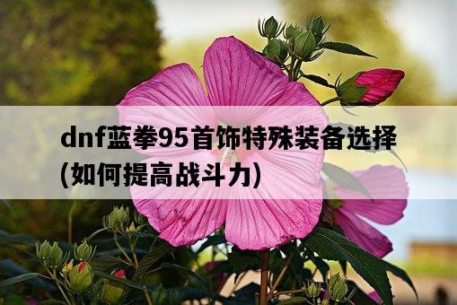 dnf藍拳95首飾特殊裝備選擇，如何提高戰斗力-圖1