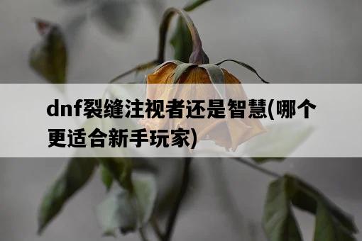 dnf裂縫注視者還是智慧，哪個更適合新手玩家-圖1
