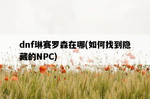 dnf琳賽羅森在哪，如何找到隱藏的NPC-圖1