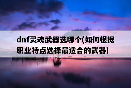 dnf靈魂武器選哪個，如何根據職業特點選擇最適合的武器-圖1