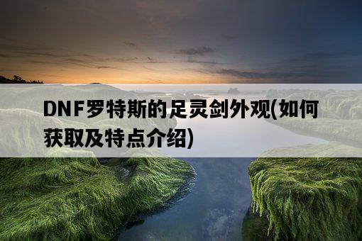 DNF羅特斯的足靈劍外觀，如何獲取及特點介紹-圖1