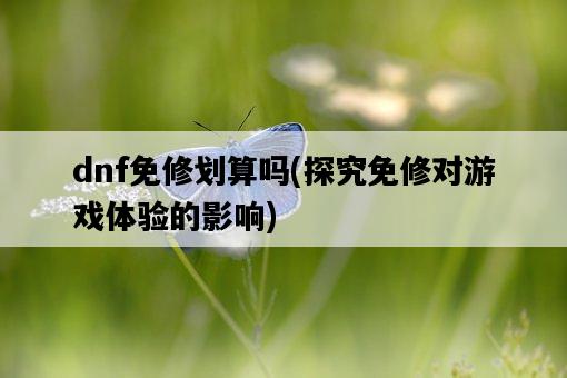 dnf免修劃算嗎，探究免修對游戲體驗的影響-圖1