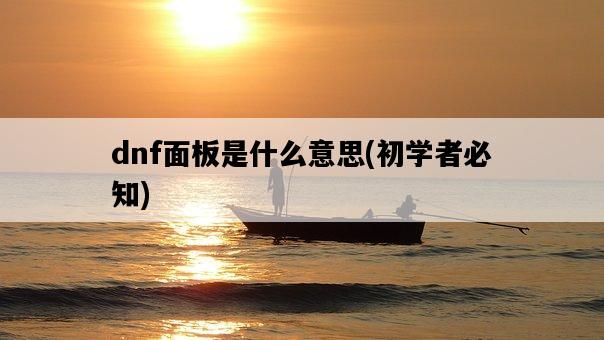 dnf面板是什么意思，初學者必知-圖1