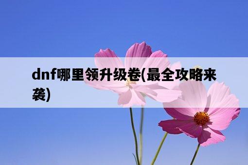 dnf哪里領升級卷，最全攻略來襲-圖1