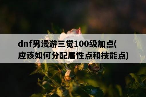dnf男漫游三覺100級加點，應該如何分配屬性點和技能點-圖1