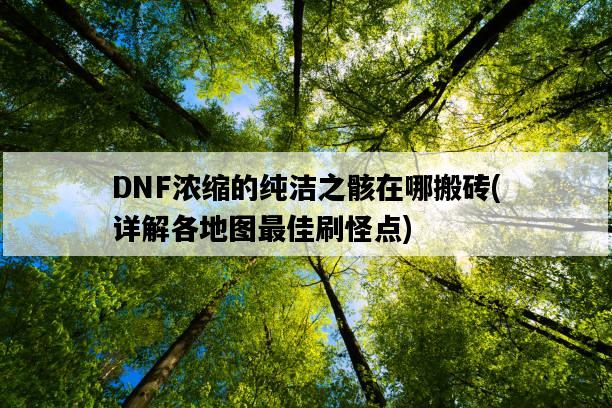 DNF濃縮的純潔之骸在哪搬磚，詳解各地圖最佳刷怪點-圖1