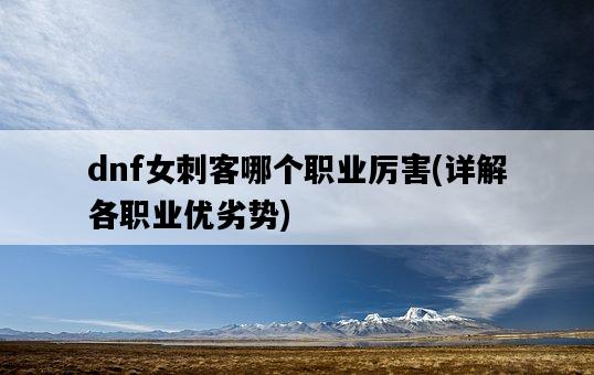 dnf女刺客哪個職業厲害，詳解各職業優劣勢-圖1