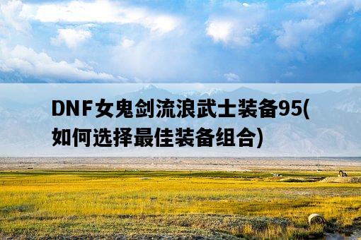 DNF女鬼劍流浪武士裝備95，如何選擇最佳裝備組合-圖1