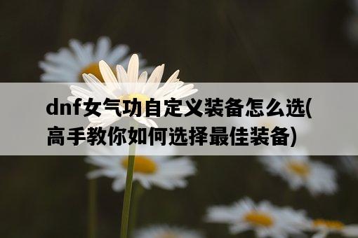 dnf女氣功自定義裝備怎么選，高手教你如何選擇最佳裝備-圖1