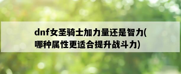 dnf女圣騎士加力量還是智力，哪種屬性更適合提升戰斗力-圖1