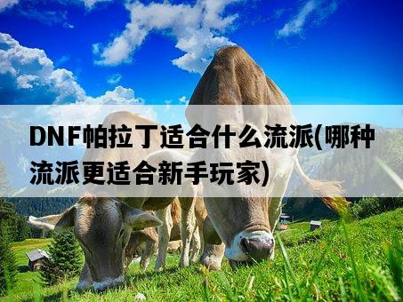 DNF帕拉丁適合什么流派，哪種流派更適合新手玩家-圖1