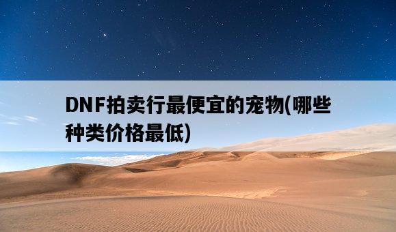 DNF拍賣行最便宜的寵物，哪些種類價格最低-圖1
