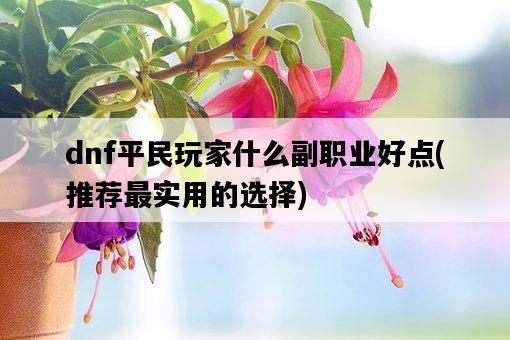 dnf平民玩家什么副職業好點，推薦最實用的選擇-圖1