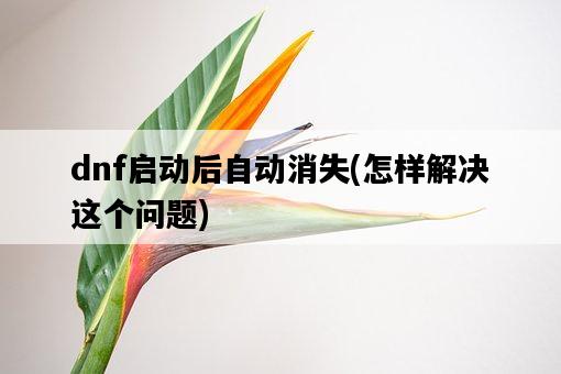 dnf啟動后自動消失，怎樣解決這個問題-圖1