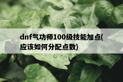 dnf氣功師100級技能加點，應該如何分配點數-圖1