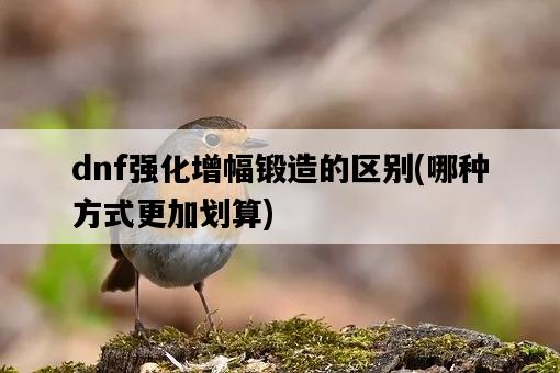 dnf強化增幅鍛造的區別，哪種方式更加劃算-圖1