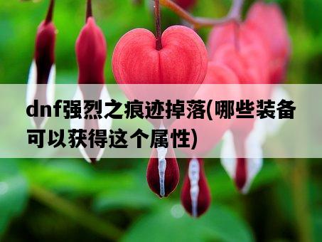 dnf強烈之痕跡掉落，哪些裝備可以獲得這個屬性-圖1