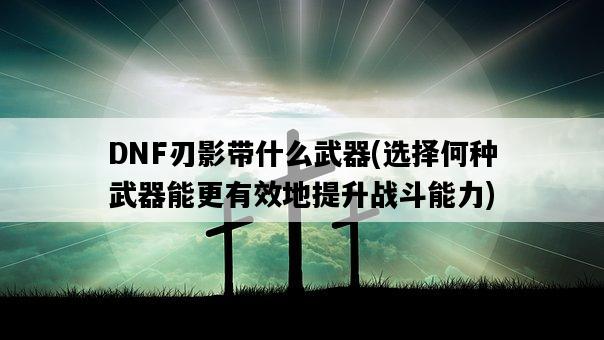 DNF刃影帶什么武器，選擇何種武器能更有效地提升戰斗能力-圖1