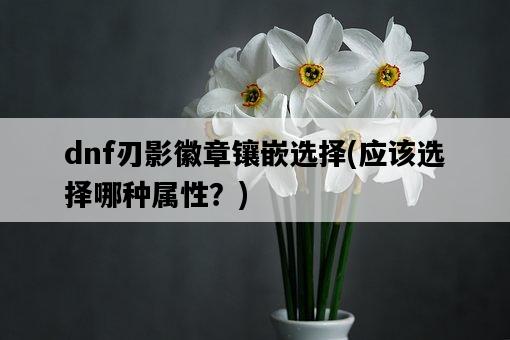 dnf刃影徽章鑲嵌選擇，應該選擇哪種屬性？-圖1