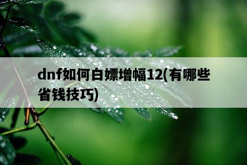 dnf如何白嫖增幅12，有哪些省錢技巧-圖1