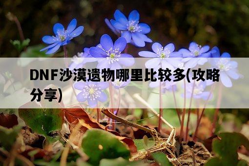 DNF沙漠遺物哪里比較多，攻略分享-圖1