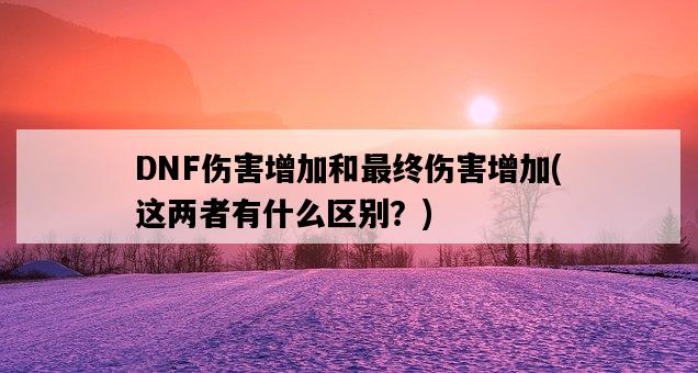 DNF傷害增加和最終傷害增加，這兩者有什么區別？-圖1