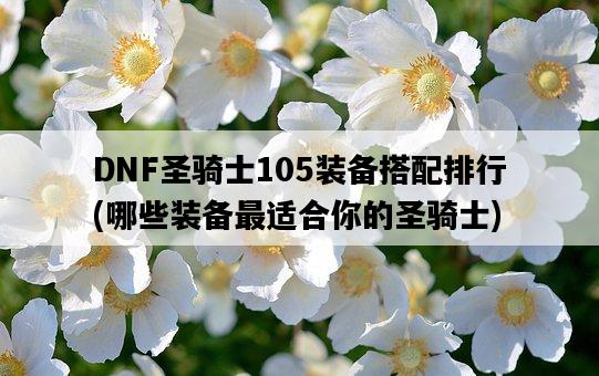DNF圣騎士105裝備搭配排行，哪些裝備最適合你的圣騎士-圖1