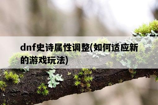 dnf史詩屬性調整，如何適應新的游戲玩法-圖1