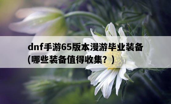 dnf手游65版本漫游畢業裝備，哪些裝備值得收集？-圖1