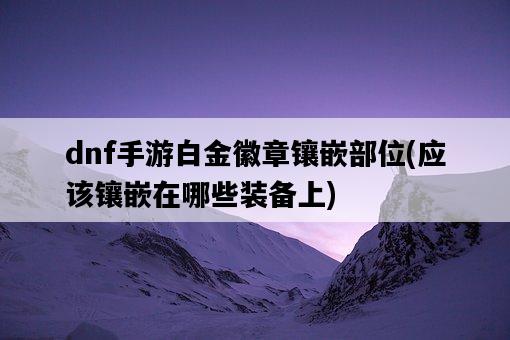 dnf手游白金徽章鑲嵌部位，應該鑲嵌在哪些裝備上-圖1