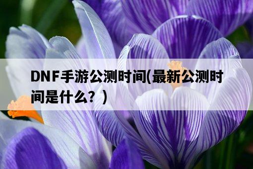 DNF手游公測時間，最新公測時間是什么？-圖1