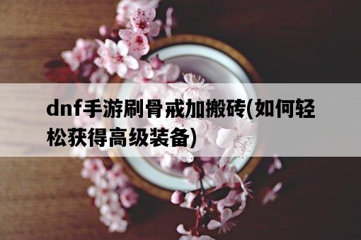 dnf手游刷骨戒加搬磚，如何輕松獲得高級裝備-圖1
