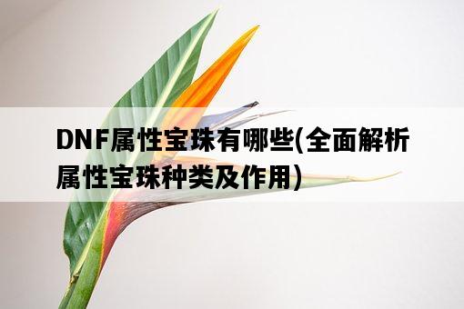 DNF屬性寶珠有哪些，全面解析屬性寶珠種類及作用-圖1