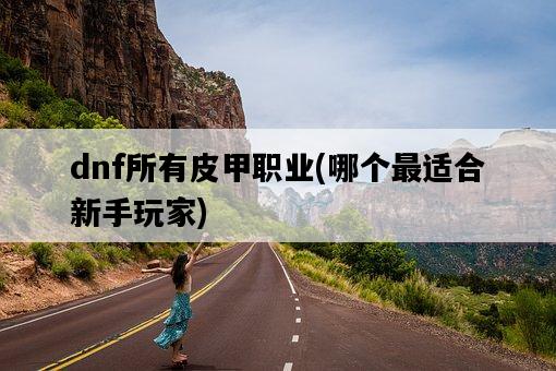 dnf所有皮甲職業，哪個最適合新手玩家-圖1