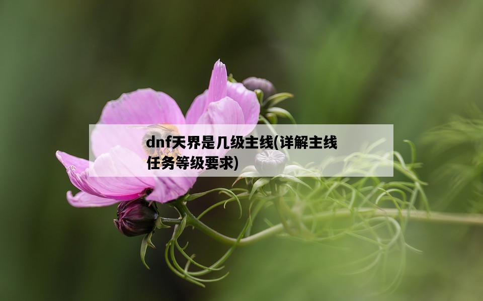 dnf天界是幾級主線，詳解主線任務等級要求-圖1
