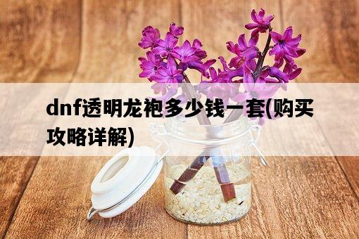 dnf透明龍袍多少錢一套，購買攻略詳解-圖1
