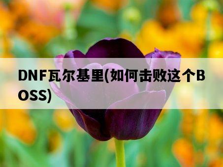 DNF瓦爾基里，如何擊敗這個BOSS-圖1