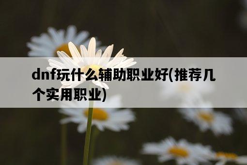 dnf玩什么輔助職業好，推薦幾個實用職業-圖1
