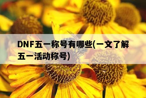 DNF五一稱號有哪些，一文了解五一活動稱號-圖1